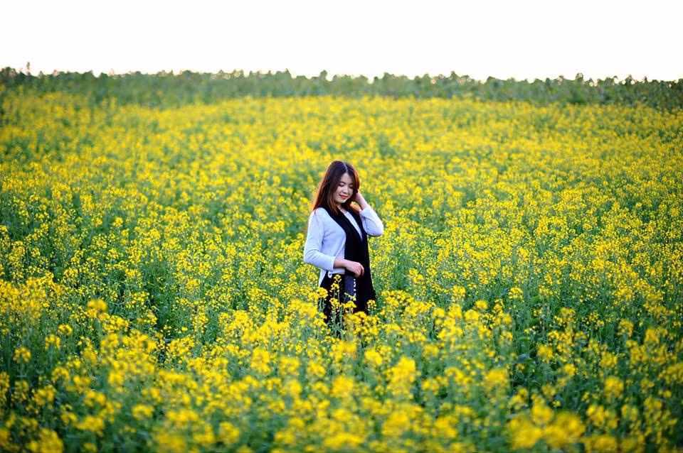 Chỉ cần bỏ ra từ 15.000 tới 20.000 cho mỗi người là bạn đã có thể thoả thích ngắm hoa, chụp ảnh hay dạo chơi giữa cánh đồng hoa thơ mộng.