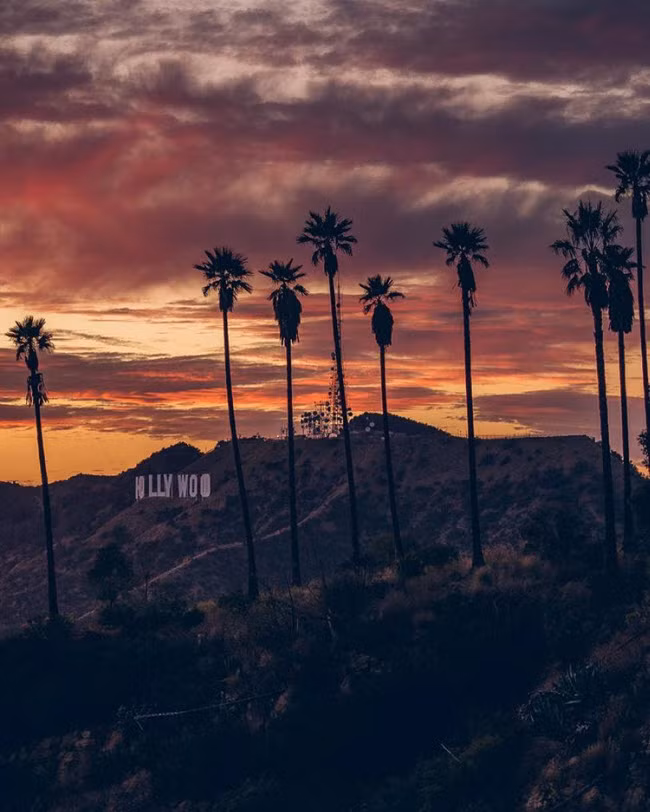 Thành phố là điểm đến ưa thích của các nhiếp ảnh gia chuyên săn ảnh và tin về các ngôi nổi tiếng. Ngoài ra, bảo tàng nghệ thuật Los Angeles và bảo tàng kem ở thành phố cũng xuất hiện liên tục trên mạng xã hội Instagram.