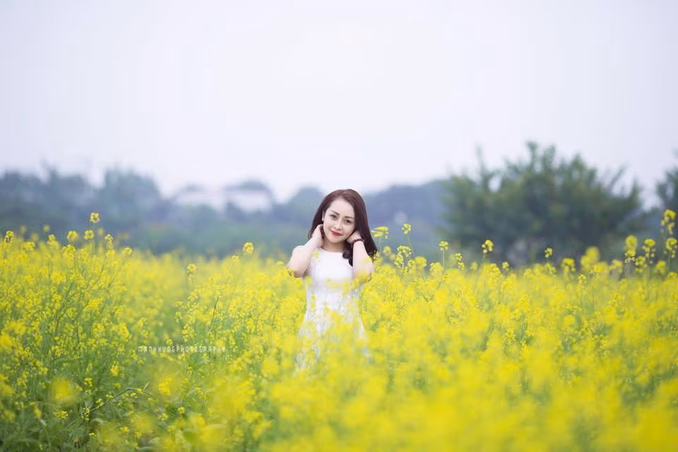 Vườn hoa cải mang vẻ đẹp đậm hồn quê giữa chốn phồn hoa đô hội, tuy không phải là loài hoa cao sang nhưng hòa mình vào cả cánh đồng hoa, ai ai cũng cảm thấy đẹp lạ và tươi mới. Ảnh: Ngân Thùy Lê