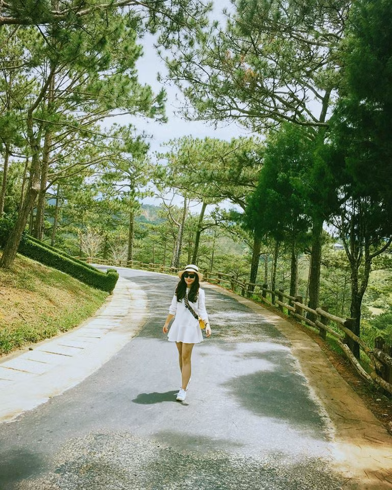 "Thung lũng tình yêu với giá vé vào là 100 ngàn và rất xứng đáng để ghé thăm. Nơi này cách thành phố khoảng 5 - 6km. Thung lũng rộng tuy nhiên, ở đây có xe điện miễn phí đưa đi, muốn dừng ở đâu chụp ảnh có thể xuống và đón xe khác đi tiếp. Theo kinh nghiệm của mình, lúc đầu đến có mấy cái cảnh đẹp ngay cổng vào, cứ chụp ảnh hết đi, sau đó mới lên xe điện đi đến những điểm xa, xa nhất có vườn hoa cẩm tú cầu nhé. Ai ham chụp ảnh chắc ở đây hết buổi sáng mất".