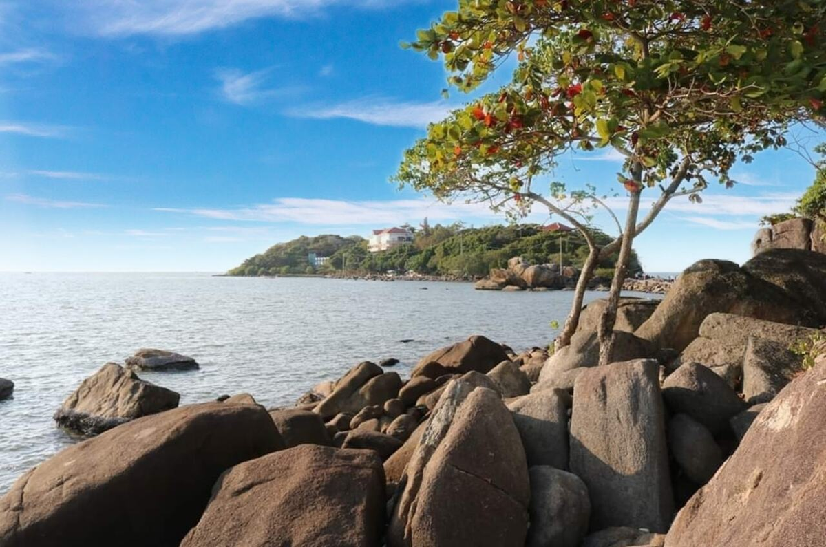 4. Hòn Đá Bạc (Cà Mau): Hòn Đá Bạc là một cụm đảo nhỏ gồm ba hòn đảo chính, nằm ở huyện Trần Văn Thời, tỉnh Cà Mau. Nơi đây nổi tiếng với những tảng đá granite xếp chồng lên nhau một cách kỳ lạ, tạo nên khung cảnh hoang sơ và bí ẩn. (Ảnh: Tripzone.vn)