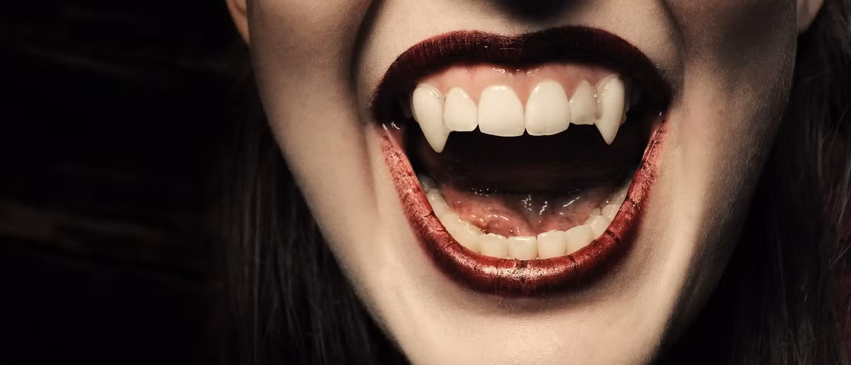 Vào thế kỷ 17, khi bệnh tật và chiến tranh hoành hành, sự sợ hãi về các hiện tượng siêu nhiên như ma cà rồng rất phổ biến ở châu Âu. (Ảnh: Lexington County Library)