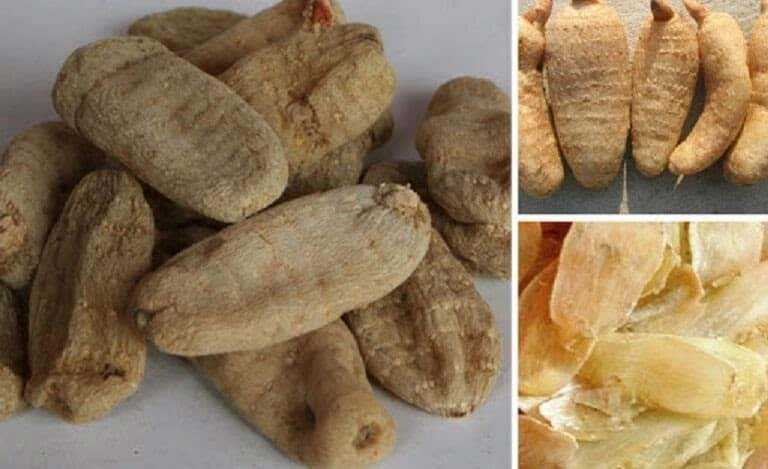 Hiện tại, giá thiên ma chỉ còn chưa đầy 68.000 đồng/kg ở một số khu vực Trung Quốc.(Ảnh: Viện Y Dược Cổ Truyền Dân Tộc)