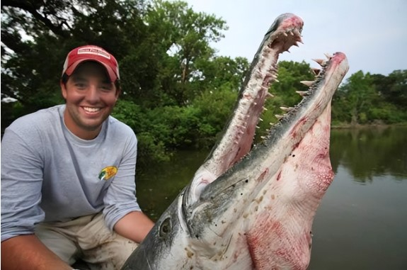 Các chuyên gia khuyến cáo không nên phóng sinh hay thả cá sấu hỏa tiễn vào môi trường tự nhiên và cần thông báo ngay cho các cơ quan có thẩm quyền khi phát hiện sự xuất hiện của chúng.(Ảnh: Sohu)