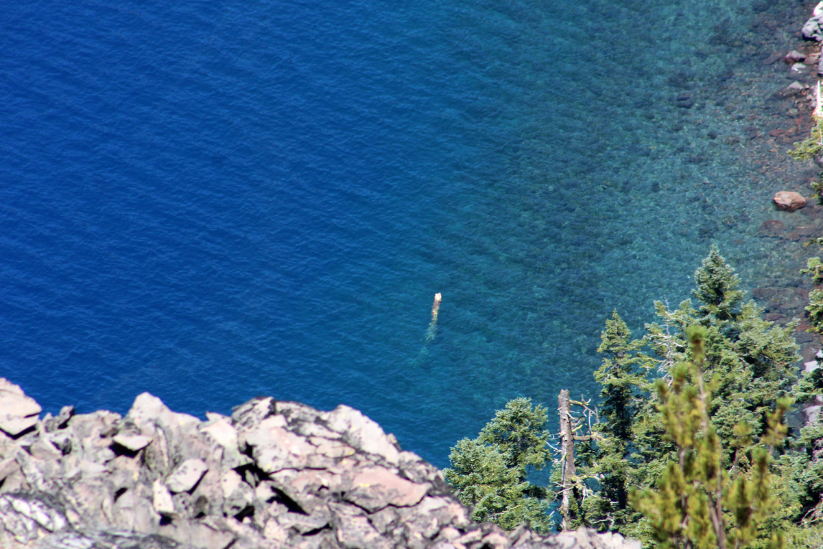 Khúc gỗ di chuyển không theo quy luật, đôi khi trôi dạt hàng trăm mét mà không có bất kỳ sự can thiệp nào. Trong một nghiên cứu của nhà tự nhiên học John Doerr vào năm 1938, khúc gỗ được ghi nhận đã di chuyển hơn 99 km chỉ trong ba tháng.(Ảnh: Camper Chronicles)