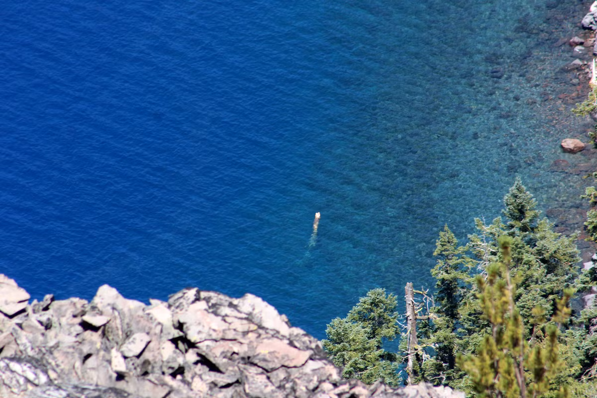 Khúc gỗ di chuyển không theo quy luật, đôi khi trôi dạt hàng trăm mét mà không có bất kỳ sự can thiệp nào. Trong một nghiên cứu của nhà tự nhiên học John Doerr vào năm 1938, khúc gỗ được ghi nhận đã di chuyển hơn 99 km chỉ trong ba tháng.(Ảnh: Camper Chronicles)