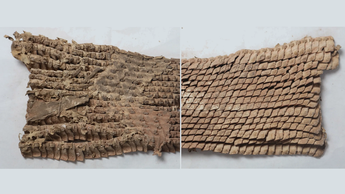 Được sử dụng rộng rãi trong quân đội nhà Tần, bộ giáp "vảy cá" thể hiện sự tiên tiến trong kỹ thuật chế tác giáp của người Trung Quốc cổ đại.(Ảnh: IFLScience)