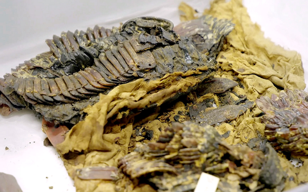 Không chỉ là biểu tượng của quyền lực và sự giàu có, bộ giáp của vua Tutankhamun còn là minh chứng cho nghệ thuật chế tác và văn hóa rực rỡ của Ai Cập cổ đại.(Ảnh: Live Science)