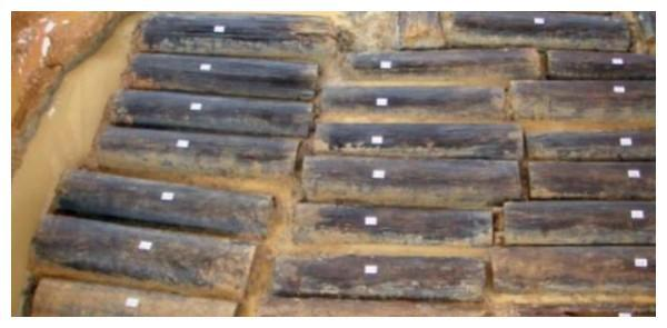 Hiện tượng các hài cốt phát sáng vẫn chưa được giải thích khoa học, nhưng có thể do các hợp chất phát quang như Ferric phosphate (FePO4) và các chất huỳnh quang khác. (Ảnh: Sina)