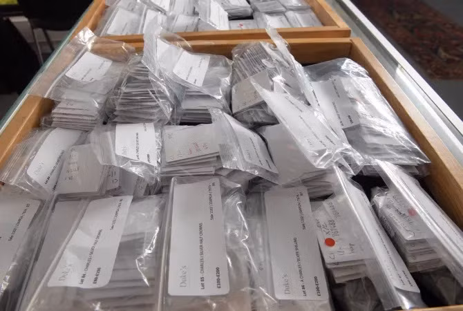 Bảo tàng Anh đã kiểm tra và làm sạch các đồng xu trước khi bán đấu giá. Cặp vợ chồng cho biết việc phát hiện này thực sự tuyệt vời và hấp dẫn.(Ảnh: TheSun)