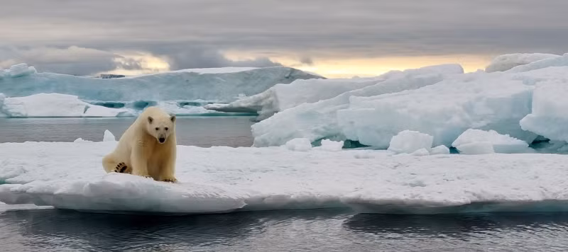 Việc phát hiện những sinh vật thời tiền sử này cung cấp thông tin quý giá cho nghiên cứu khoa học, giúp hiểu rõ hơn về quá trình tiến hóa của Trái đất và lịch sử của các sinh vật khác nhau. (Ảnh: World Photography Organisation)