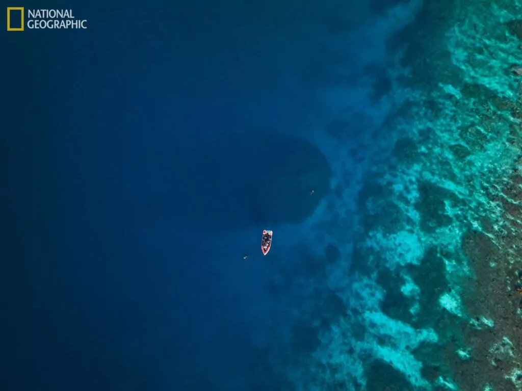 Tuy nhiên, các nhà khoa học lo ngại về số phận của rạn san hô này do đại dương ngày càng có tính axit hơn do biến đổi khí hậu.(Ảnh: Divernet)