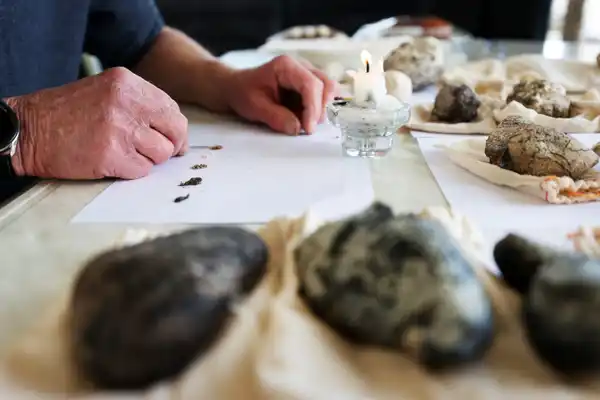 Sự khan hiếm của long diên hương là một trong những yếu tố chính khiến nó trở nên đắt đỏ. Số lượng cá nhà táng có hạn và mỗi con chỉ có thể sản xuất một lượng long diên hương nhất định mỗi ngày. Việc thu thập long diên hương từ biển cả cũng không hề dễ dàng, vì nó phụ thuộc vào sự may mắn và kiên nhẫn của người tìm kiếm.(Ảnh: The Guardian)