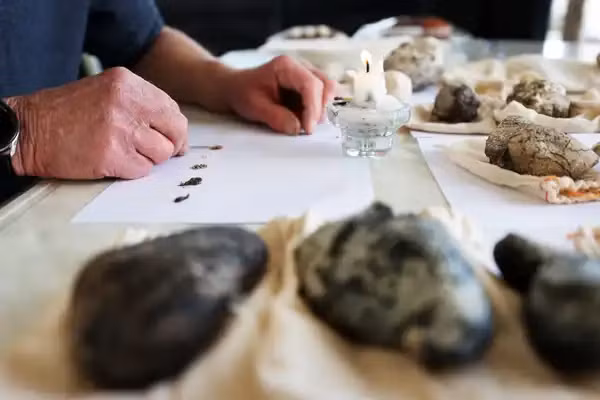 Sự khan hiếm của long diên hương là một trong những yếu tố chính khiến nó trở nên đắt đỏ. Số lượng cá nhà táng có hạn và mỗi con chỉ có thể sản xuất một lượng long diên hương nhất định mỗi ngày. Việc thu thập long diên hương từ biển cả cũng không hề dễ dàng, vì nó phụ thuộc vào sự may mắn và kiên nhẫn của người tìm kiếm.(Ảnh: The Guardian)