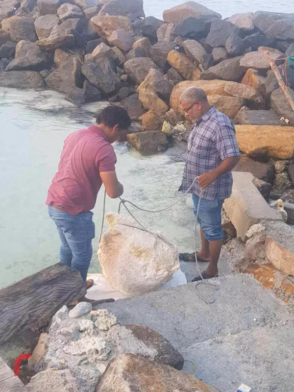 Ngoài giá trị y học và gia vị, long diên hương còn là một biểu tượng của địa vị trong giới nhà giàu. Nhiều sản phẩm xa xỉ như nước hoa, sản phẩm chăm sóc da và các sản phẩm y tế cao cấp đều được pha trộn với long diên hương, khiến chúng trở nên đắt đỏ và cao cấp hơn.(Ảnh: Raajje.mv)