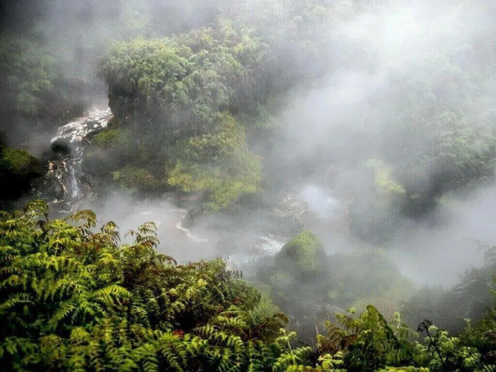 Được các cộng đồng bản địa biết đến từ nhiều thế kỷ qua, Shanay-timpishka có thể luộc chín mọi sinh vật rơi vào. (Ảnh: Cultura Colectiva)