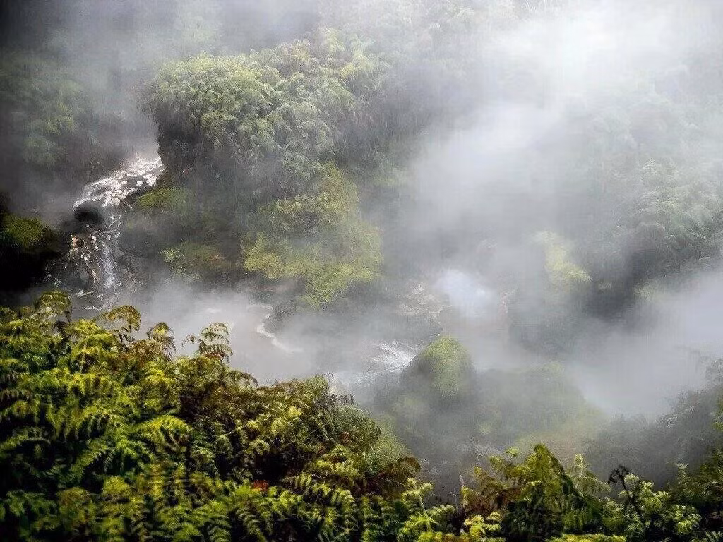 Được các cộng đồng bản địa biết đến từ nhiều thế kỷ qua, Shanay-timpishka có thể luộc chín mọi sinh vật rơi vào. (Ảnh: Cultura Colectiva)