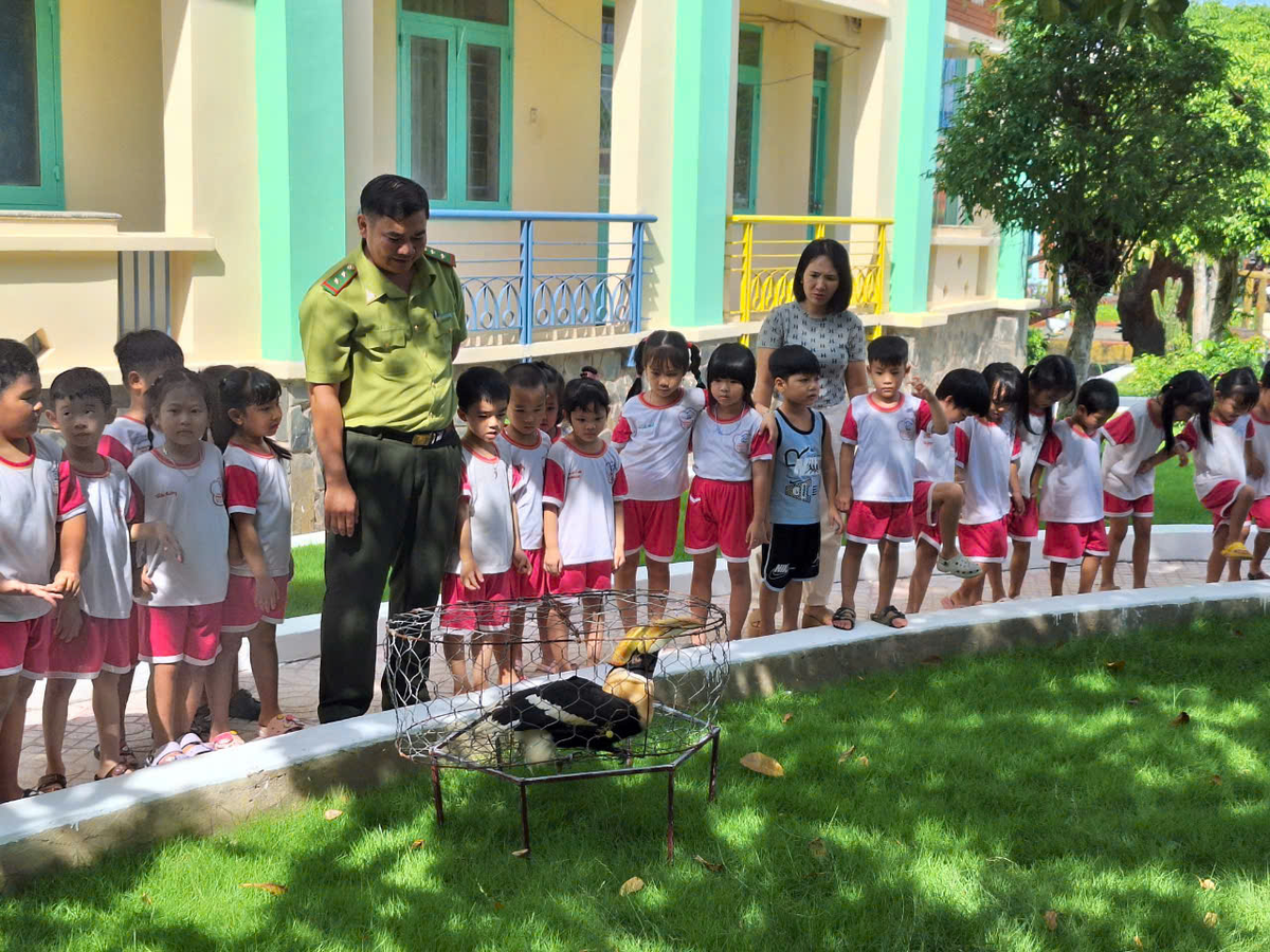 Cá thể chim hồng hoàng nặng khoảng 1,5kg, sau khi đánh giá tình trạng sức khỏe tốt, đã được tái thả về tự nhiên tại Khu Bảo tồn thiên nhiên - văn hóa Đồng Nai. Trước khi tái thả, loài chim quý hiếm này cũng được mang đến giới thiệu tại Trường mầm non Phong Lan để giáo dục về ý thức bảo vệ môi trường cho trẻ em.(Ảnh: Báo Đồng Nai)