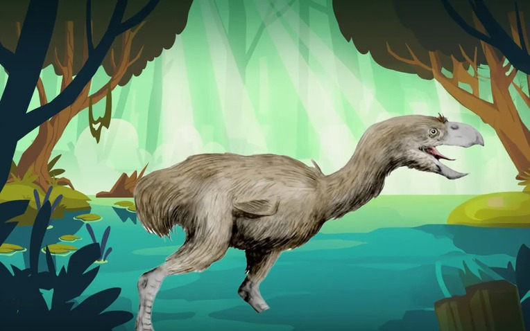 Nghiên cứu mới được công bố trên tạp chí Paleontology đã hé lộ sự tồn tại của loài chim khủng bố lớn nhất từng sống trên Trái Đất, qua việc phát hiện hóa thạch tại Colombia. (Ảnh: Thanh niên Việt)