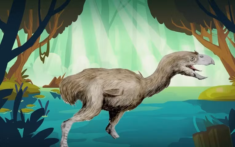 Nghiên cứu mới được công bố trên tạp chí Paleontology đã hé lộ sự tồn tại của loài chim khủng bố lớn nhất từng sống trên Trái Đất, qua việc phát hiện hóa thạch tại Colombia. (Ảnh: Thanh niên Việt)