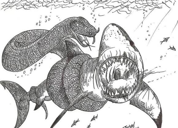 Rắn cốc Kolosegu là một sinh vật tiền sử sống vào khoảng thời gian từ Thế Paleocen đến Thế Oligocene, tức cách đây hàng triệu năm. (Ảnh: DNVN)