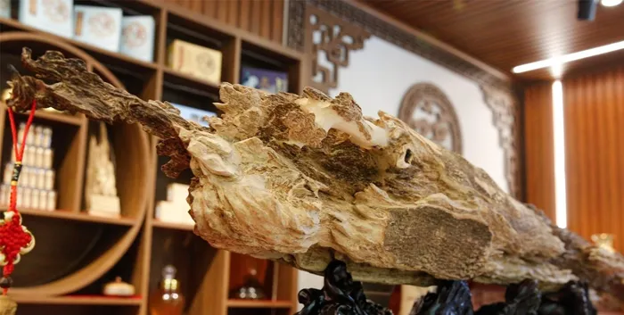 Trầm hương từ lâu đã được coi là "gỗ của các vị thần" vì hương thơm đặc trưng, dịu nhẹ nhưng sang trọng và hiếm có loại hương thơm tự nhiên nào có thể sánh được. Chính vì điều này, trầm hương được sử dụng rộng rãi trong các nghi lễ tôn giáo, y học cổ truyền và nghệ thuật chế tác trang sức.(Ảnh: Grow Billion Trees)