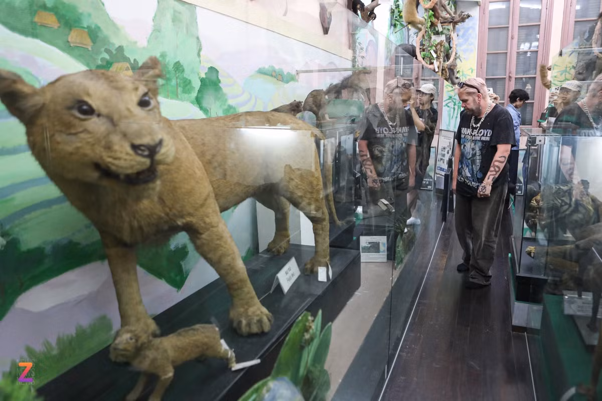 Du khách không giấu được sự thích thú khi chiêm ngưỡng không gian Bảo tàng sinh vật học với đầy đủ các mô hình động vật như hổ, báo, gấu, hươu...