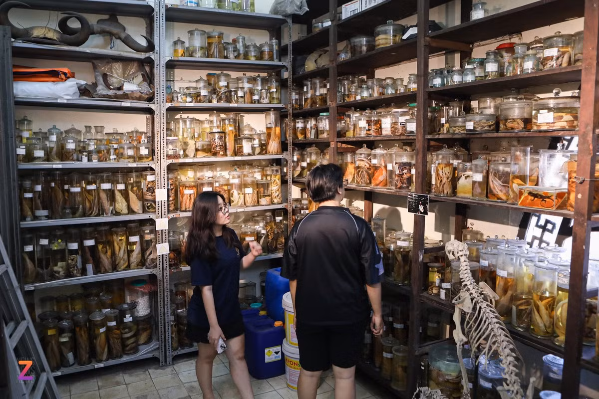 Khu vực trưng bày các lọ sinh phẩm của trường đại học cũng là một trong những nơi thu hút sự tò mò, check-in đông đảo của du khách.