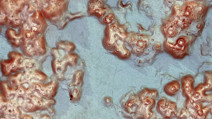 Sử dụng công nghệ Lidar, họ đã tìm thấy hàng nghìn công trình kiến trúc chưa từng biết đến và một thành phố lớn tên là Valeriana. "Thành phố ma" này có các hồ nước, sân bóng, kim tự tháp đền thờ và mạng lưới đường rộng nối các quảng trường. (Ảnh: Luke Auld-Thomas)