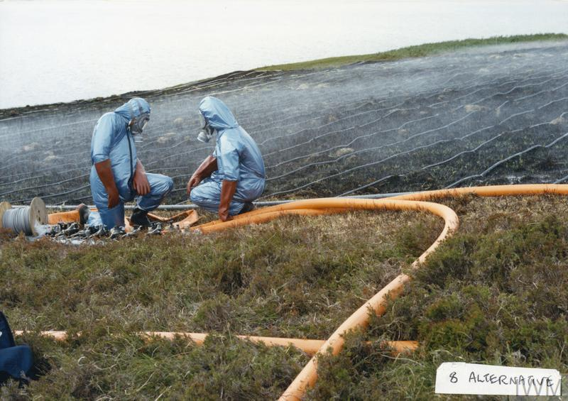 Nhóm dự án, được tiêm vaccine phòng bệnh than và mặc đồ bảo hộ, trở lại đảo để khử trùng bằng cách phun lên lớp đất mặt nước biển và formaldehyde. Hè năm 1987, một đàn cừu được đưa lên đảo Gruinard và không có dấu hiệu nhiễm bệnh nào. (Ảnh: Imperial War Museums)