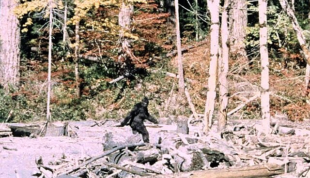 Bigfoot, một quái vật nổi tiếng trong truyền thuyết đô thị Mỹ từ năm 1958, được mô tả là sinh vật lông lá, ngoại hình gớm ghiếc, có mùi hôi thối. Nhiều hình ảnh trước đây lan truyền trên mạng xã hội chưa đủ thuyết phục, nhưng đoạn video này là một trong những bằng chứng đáng tin cậy nhất chứng minh sự tồn tại của Bigfoot. (Ảnh: Wikipedia)