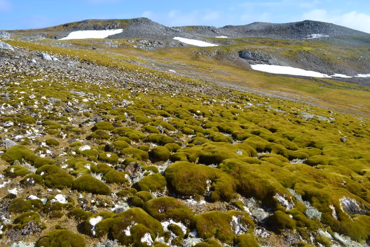 Để giải quyết vấn đề này, cộng đồng quốc tế cần tăng cường hành động giảm phát thải khí nhà kính và hợp tác toàn cầu về khí hậu. Việc bảo vệ những kỳ quan thiên nhiên này là điều cần thiết để bảo vệ ngôi nhà chung của chúng ta.(Ảnh: Nature)