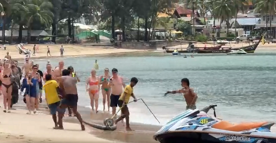 Đại tá cảnh sát Somsak Thongkliang cho biết, con trăn có lẽ đã từ kênh đào bên cạnh di chuyển ra biển, khiến du khách hoảng sợ và nhanh chóng rời khỏi mặt nước. Cuối cùng, các nhân viên cứu hộ đã bắt được con trăn nặng khoảng 100kg, trong tiếng reo hò của du khách.(Ảnh: Người đưa tin)