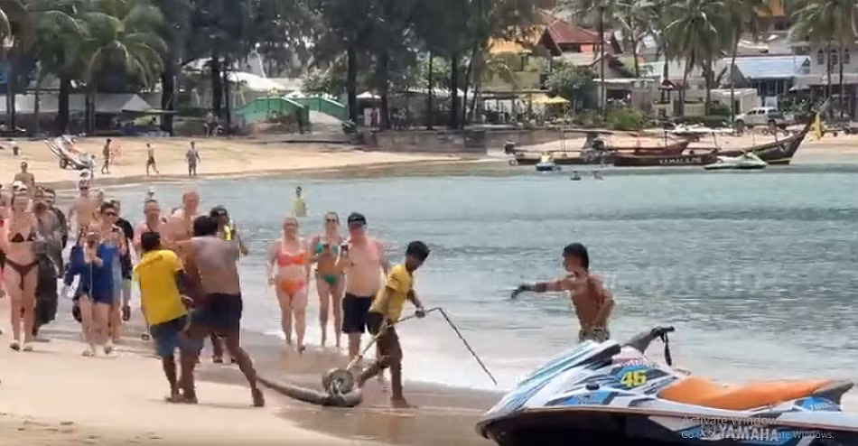 Đại tá cảnh sát Somsak Thongkliang cho biết, con trăn có lẽ đã từ kênh đào bên cạnh di chuyển ra biển, khiến du khách hoảng sợ và nhanh chóng rời khỏi mặt nước. Cuối cùng, các nhân viên cứu hộ đã bắt được con trăn nặng khoảng 100kg, trong tiếng reo hò của du khách.(Ảnh: Người đưa tin)