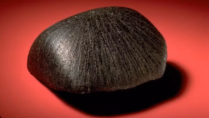 Được đặt tên là Lafayette, hòn đá này chứa các khoáng chất được hình thành dưới sự tương tác với nước lỏng, chứng minh rằng Sao Hỏa từng có nước lỏng vào thời điểm đó. Điều này làm gia tăng khả năng Sao Hỏa từng tồn tại sự sống. (Ảnh: ThePrint)