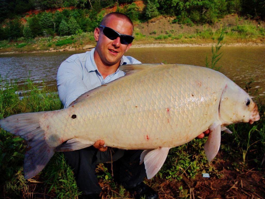 Khám phá về loài cá trâu "trường thọ" giữa sa mạc Arizona không chỉ là một minh chứng cho khả năng thích nghi phi thường của sinh vật sống mà còn là nguồn cảm hứng cho các nhà nghiên cứu trên con đường tìm hiểu và giải mã những bí mật của tự nhiên. (Ảnh:BioQuick News)