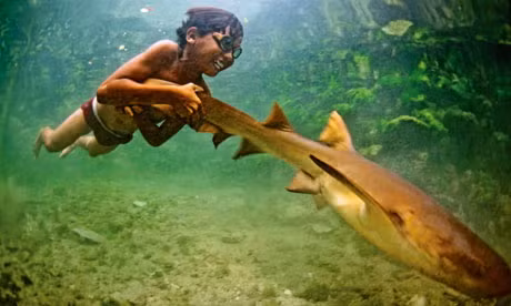 Ngày nay, có khoảng 1 triệu cư dân Banjo ở mọi lứa tuổi. Tất cả họ đều học cách sống dưới nước từ khi còn nhỏ.(Ảnh: The Guardian)