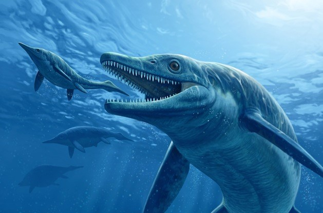 Hóa thạch từ lòng đại dương Tethys có ý nghĩa cổ sinh học quan trọng, minh chứng cho sự tồn tại của đại dương này. (Ảnh: Gondwanatalks)