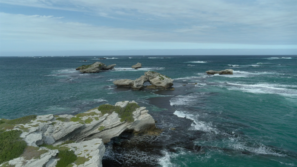 Ngày nay, các tàn tích của đại dương Tethys bao gồm Địa Trung Hải, Biển Đen, biển Caspi và biển Aral. (Ảnh: Prehistoric Planet Wiki)