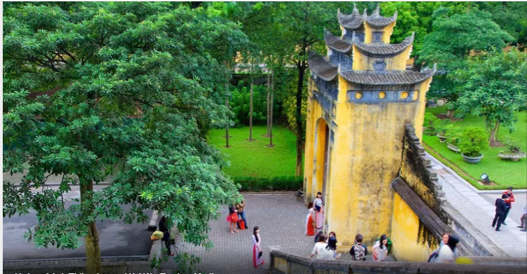 Những cọc gỗ lim xanh tại bãi cọc Bạch Đằng đã tồn tại hàng trăm năm dưới nước mà vẫn không bị phân hủy đáng kể, chứng minh độ bền vượt trội của loại gỗ này.(Ảnh: Kinhtedothi)