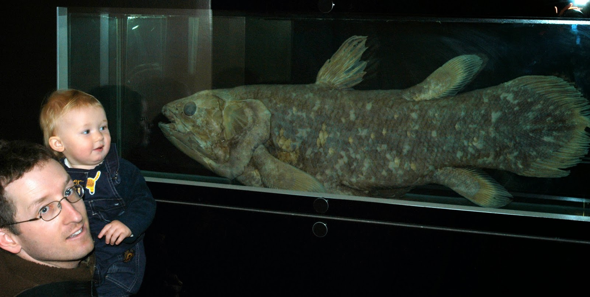 Hiện tại, cá vây tay được xếp vào nhóm cực kỳ nguy cấp theo phân loại của Liên minh Bảo tồn Thiên nhiên Quốc tế (IUCN). Sự sống sót kỳ diệu của chúng cho thấy một loài cá cổ đại vẫn tồn tại và tiến hóa trong điều kiện khắc nghiệt dưới đáy biển.(Ảnh: Eco-Evo Evo-Eco)