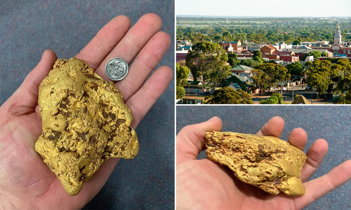 Chủ cửa hàng Matt Cook cho biết, những thỏi vàng lớn như vậy thường chỉ được tìm thấy vài lần trong năm và cần đến máy móc hạng nặng để khai thác. Tuy nhiên, cục vàng này được tìm thấy bằng máy dò kim loại, tương tự như các phát hiện trước đây ở khu vực này.(Ảnh: Daily Mail)