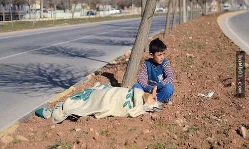 Hanh dong la cua cau be Syria khien ai biet duoc cung cam dong