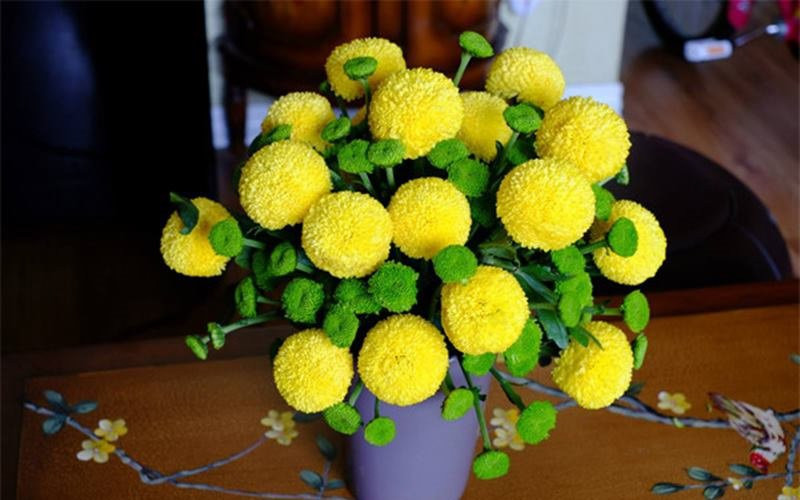 8. Cúc Pingpong: Cúc pingpong với hình dáng các cánh hoa xếp vào nhau tạo ra một khối cầu tròn tròn với mang ý nghĩa của sự đủ đầy, sung túc. (Thông tin trong bài chỉ mang tính tham khảo).