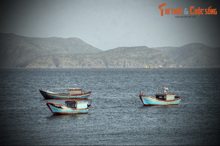 Còn trận Thị Nại là cuộc đọ sức giữa triều đại Tây Sơn và chúa Nguyễn, hai thế lực hùng mạnh còn tồn tại sau hàng thế kỷ đấu tranh nội bộ ở nước Việt.