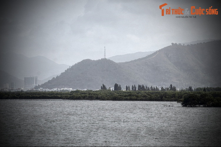 Có một điều gây kinh ngạc về sự kiện này, đó là trận thủy chiến Thị Nại có rất nhiều điểm tương đồng với một trận thủy chiến nổi tiếng khác diễn ra trước đó 16 thế kỷ. Đó là trận Xích Bích cuối thời Đông Hán bên Trung Quốc.