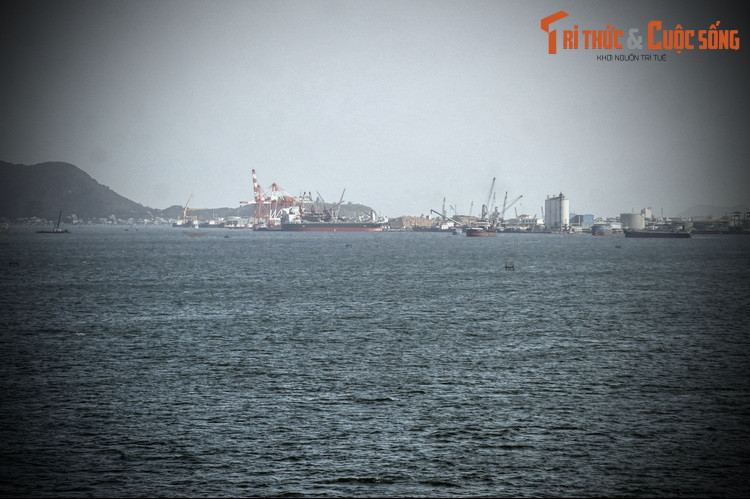 Trận Thị Nại đã làm xoay chuyển cục diện chiến sự, giúp cho việc kết thúc chiến tranh nhanh hơn. Sau trận đánh này, Nguyễn Ánh liên tiếp giành chiến thắng và nắm quyền kiểm soát toàn bộ đất nước.