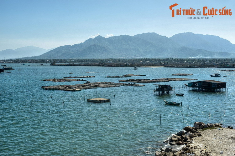 Lòng vịnh Cam Ranh có nguồn hải sản trù phú, là cơ sở cho việc phát triển ngành đánh bắt và nuôi trồng hải sản trong khu vực. Các nhà bè dập dềnh trên sóng biển là một hình ảnh đặc trưng ở vịnh biển này.