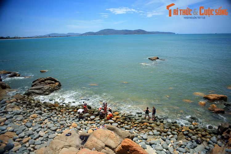 2. Bãi biển Ghềnh Ráng ở thành phố Quy Nhơn (tỉnh Bình Định) được cả nước biết đến với bãi Đá Trứng độc đáo.