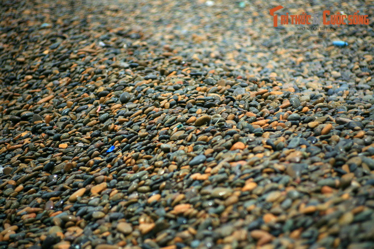 Hiện tượng đá được đẩy lên bờ ngày nào cũng diễn ra, trong suốt hàng nghìn năm qua. Đúng như tên gọi bãi đá bảy màu, đá có rất nhiều màu sắc như đỏ, nâu, vàng, tím, lam, xám, trắng… Các viên đá có nhiều hình dạng, kích thước lớn nhỏ khác nhau.